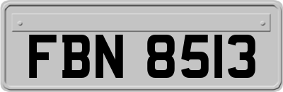 FBN8513