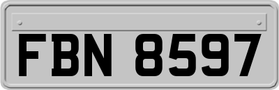 FBN8597