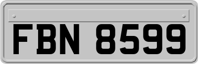 FBN8599