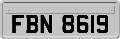 FBN8619