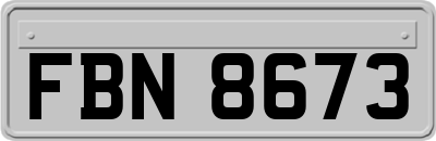 FBN8673