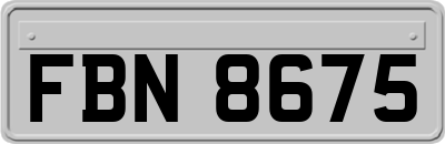 FBN8675