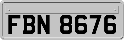 FBN8676