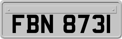 FBN8731
