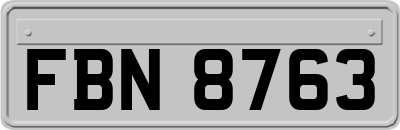 FBN8763