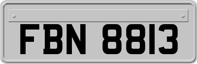 FBN8813
