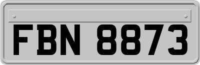 FBN8873