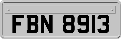 FBN8913