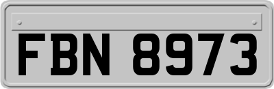 FBN8973