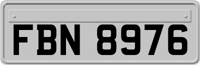 FBN8976