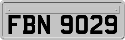 FBN9029