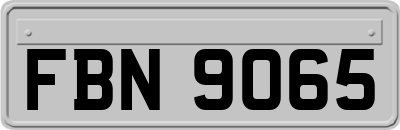 FBN9065