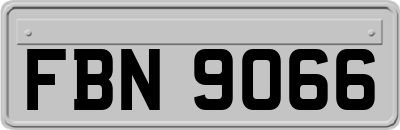 FBN9066