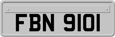 FBN9101