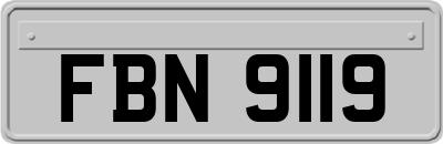FBN9119