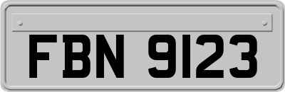 FBN9123