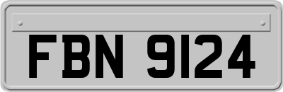 FBN9124