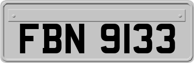 FBN9133