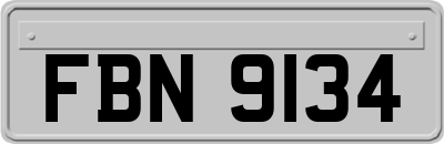 FBN9134