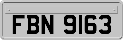 FBN9163