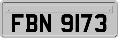 FBN9173