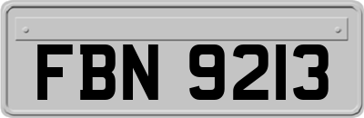 FBN9213