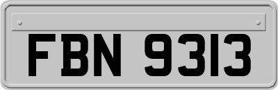 FBN9313