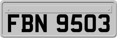 FBN9503