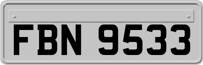 FBN9533