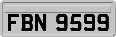 FBN9599