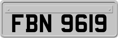 FBN9619