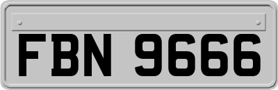 FBN9666