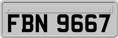 FBN9667