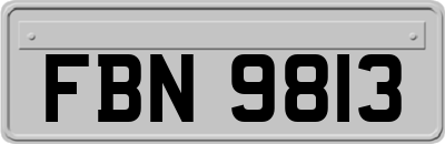 FBN9813