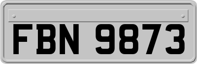 FBN9873