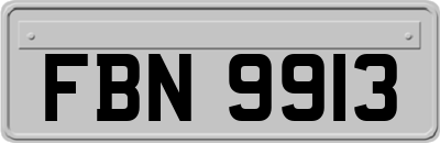 FBN9913
