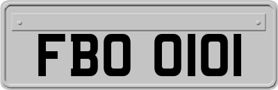 FBO0101