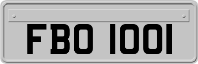 FBO1001