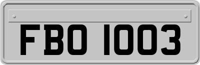 FBO1003