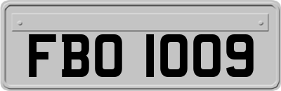 FBO1009