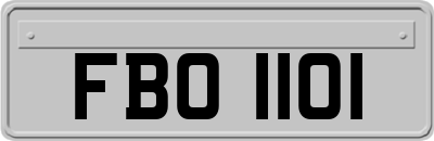FBO1101