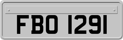 FBO1291