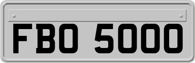FBO5000