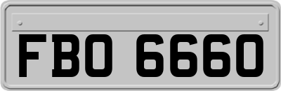 FBO6660