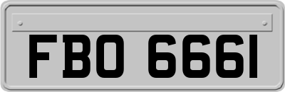 FBO6661