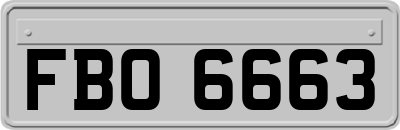 FBO6663