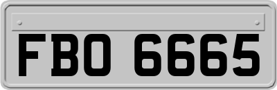 FBO6665