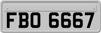 FBO6667