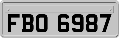 FBO6987