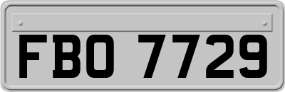 FBO7729